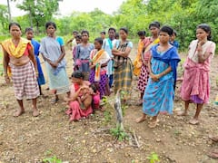 Khammam: ఏజెన్సీలో మళ్లీ పోడు పోరు, పట్టాలెప్పుడు వచ్చేనో? మంత్రి వర్గ ఉపసంఘం ఏర్పాటు చేసినా పరిష్కారం కాని సమస్య