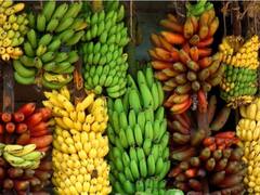 பலரும் அறிந்திராத வாழைப்பழங்களின் வகைகள் இதோ..!