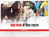 Bhopal News: भोपाल में सात लाख में बिका टाइटन नाम का बकरा, जानिए वह क्या खाता है और कैसी है उसकी कद-काठी