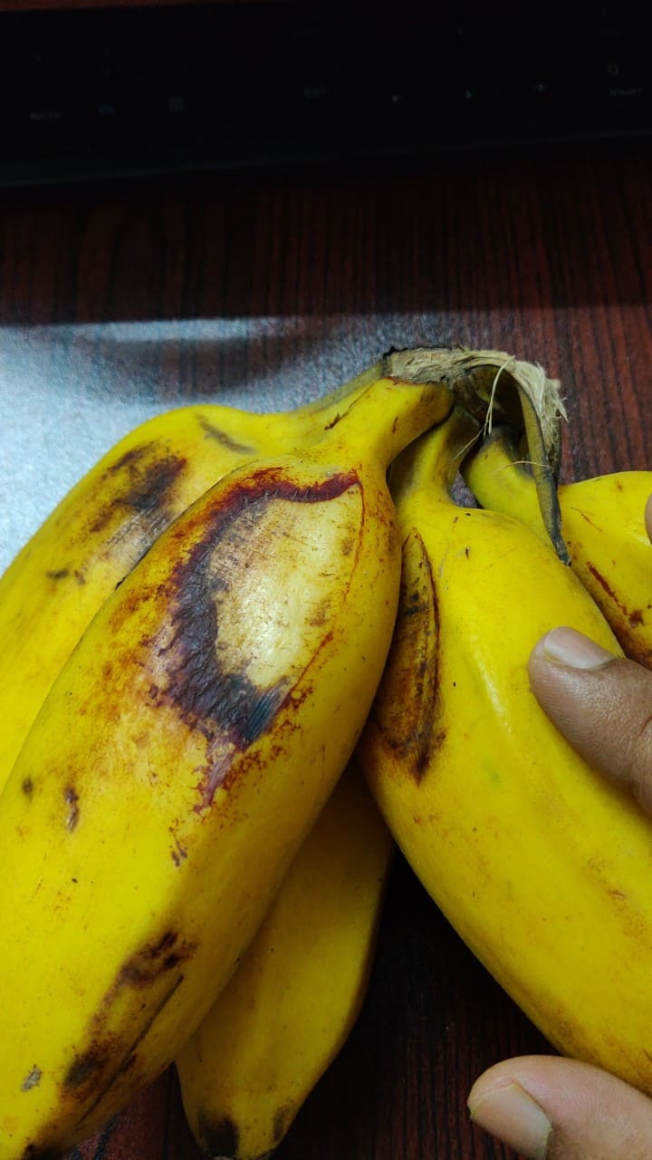 பேயன் வாழைப்பழம்