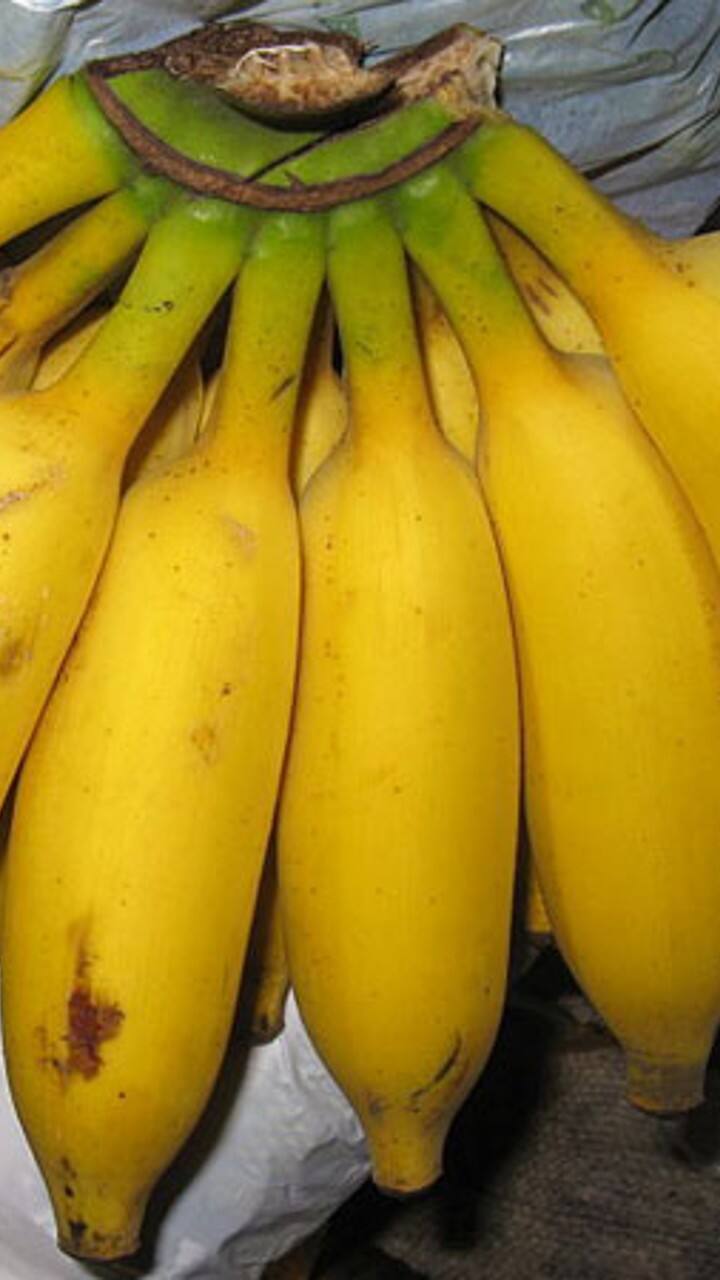 கதளி வாழைப்பழம்