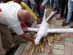 Maharashtra Political Crisis: शिवसेना कार्यकर्ताओं का अनोखा विरोध, बागी विधायकों का किया 'अंतिम संस्कार'