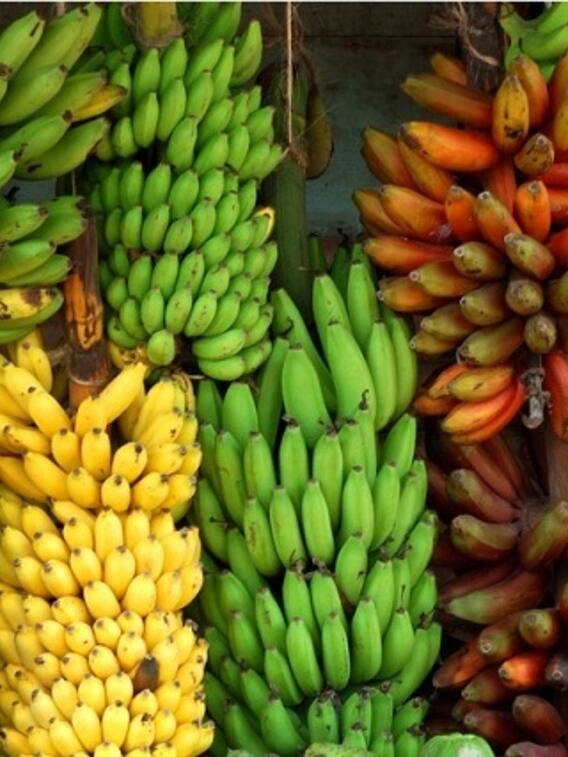 வாழைப்பழத்தில் இத்தனை வகைகள் இருக்கா..!