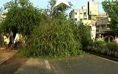 Ahmedabad: એક જ વરસાદી ઝાપટાએ ખોલી નાંખી પ્રિ-મોન્સૂન કામગીરીની પોલ, જુઓ કેવા છે હાલ
