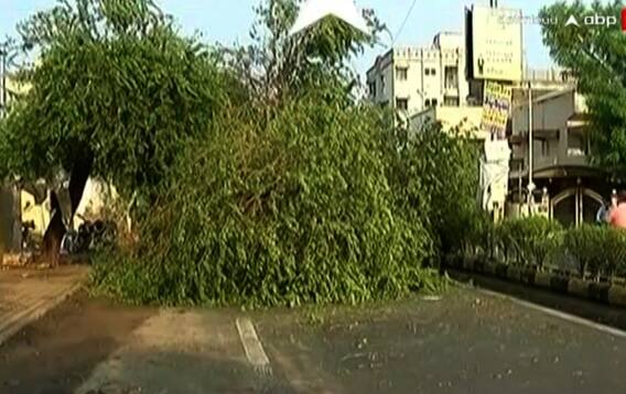 Ahmedabad: એક જ વરસાદી ઝાપટાએ ખોલી નાંખી પ્રિ-મોન્સૂન કામગીરીની પોલ, જુઓ કેવા છે હાલ