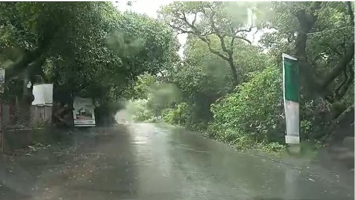 मिनी काश्मिर असलेल्या महाबळेश्वरात आज सकाळपासून पावसाचा जोर वाढला आहे. त्यामुळे शहरात आल्हाददायक वातावरण निर्माण झालं आहे.