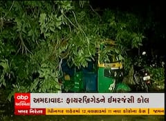 અમદાવાદ: 24 કલાકમાં ફાયરવિભાગને ઝાડ પડવાના 54 કોલ મળ્યા