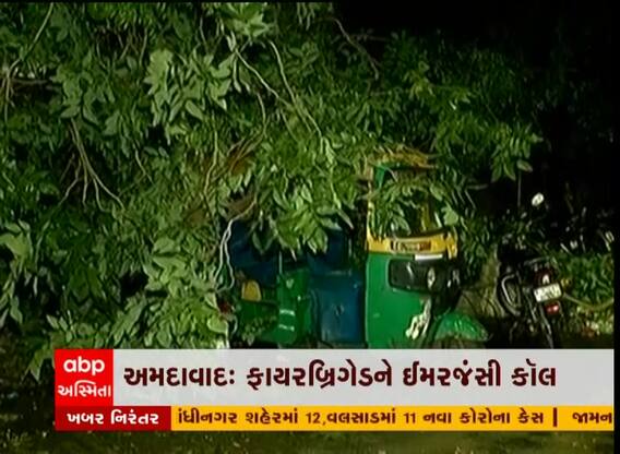 અમદાવાદ: 24 કલાકમાં ફાયરવિભાગને ઝાડ પડવાના 54 કોલ મળ્યા
