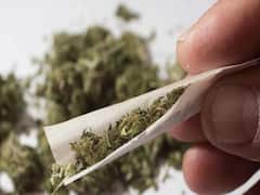 Chittoor Ganja Smuggling : చిత్తూరు జిల్లాలో గంజాయి మత్తు, పోలీసుల కళ్లు గప్పి జోరుగా రవాణా!