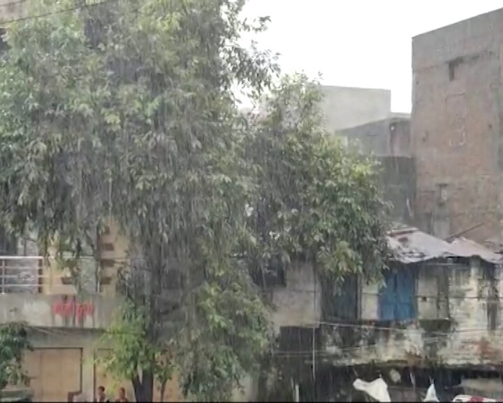 Gujarat Rain: રાજ્યમાં છેલ્લા 24 કલાકમાં કેટલા તાલુકામાં થઈ મેઘમહેર ? ક્યાં પડ્યો સૌથી વધુ વરસાદ, જાણો વિગત