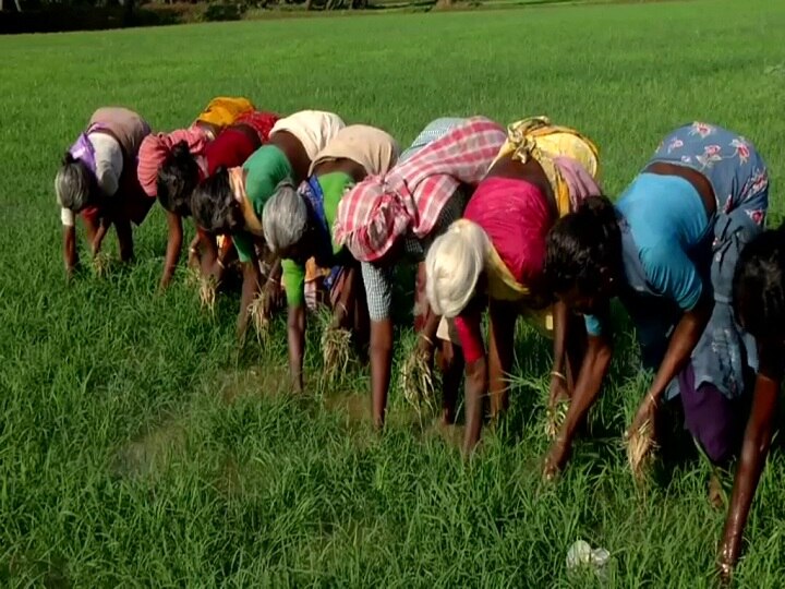 திருவாரூர்: விவசாயிகளுக்கு குறுவை தொகுப்பு வழங்கும் திட்டம் - பூண்டி கலைவாணன் தொடங்கி வைத்தார்