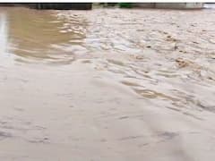 Maharashtra Rain : लातूरसह बीड जिल्ह्यात मुसळधार पाऊस, पेरणीच्या कामांना येणार वेग, शेतकरी आनंदी 