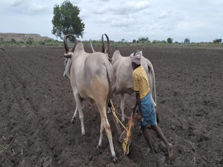 டிஏபி, யூரியா உரம்; தொடக்க வேளாண் கூட்டுறவு கடன் சங்கங்களுக்கு வழங்க வேண்டும் - அரசுக்கு விவசாயிகள் கோரிக்கை