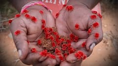 Farmer Friendly Arudra Worms : రైతు నేస్తం ఆరుద్ర పురుగులు | ABP Desam