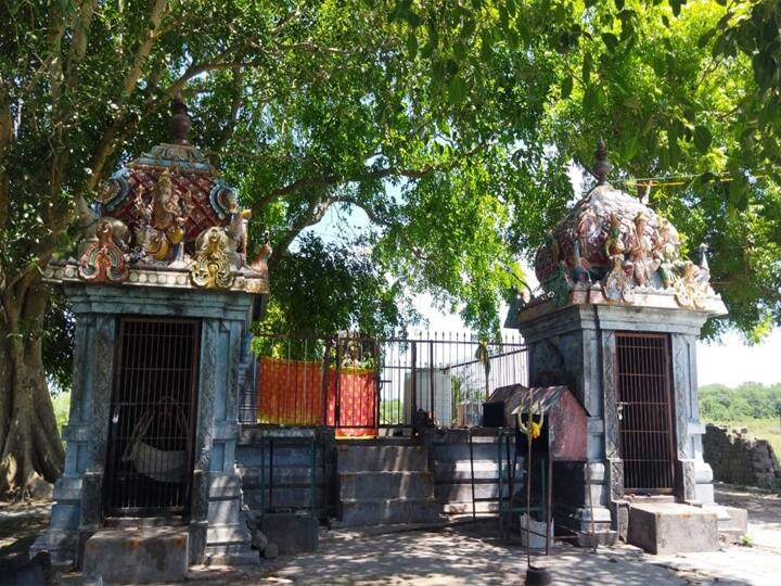 Presidential Election 2022: மின்சார வசதி இல்லாத ஜனாதிபதி வேட்பாளர் கிராமம் ! அவசரமாக நடக்கும் வேலைகள்!