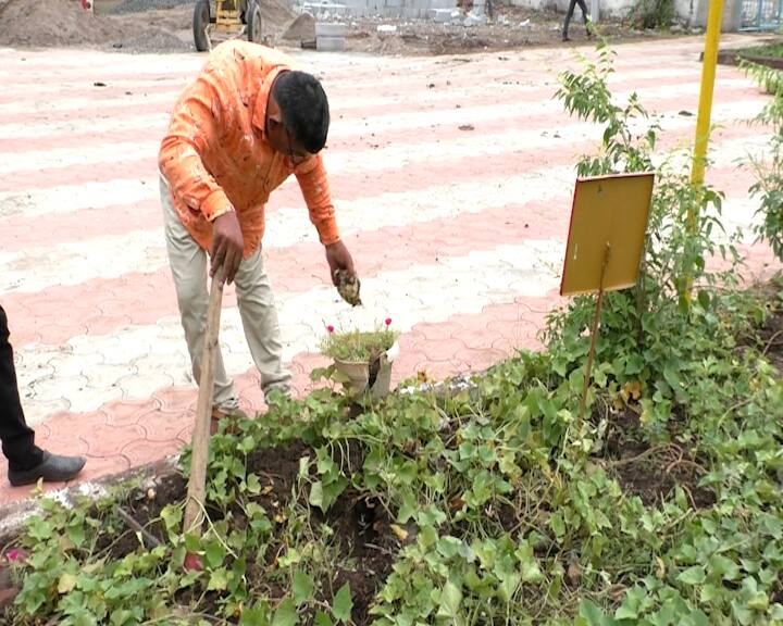 Organic Farming: Gondal district's nava gam primary school teacher done organic farming in school premises Organic Farming: ગોંડલના આ શિક્ષક સ્કૂલમાં કરે છે ઓર્ગેનિક ખેતી, સ્કૂલમાં જ બનાવી છે પર્યાવરણ પ્રયોગશાળા