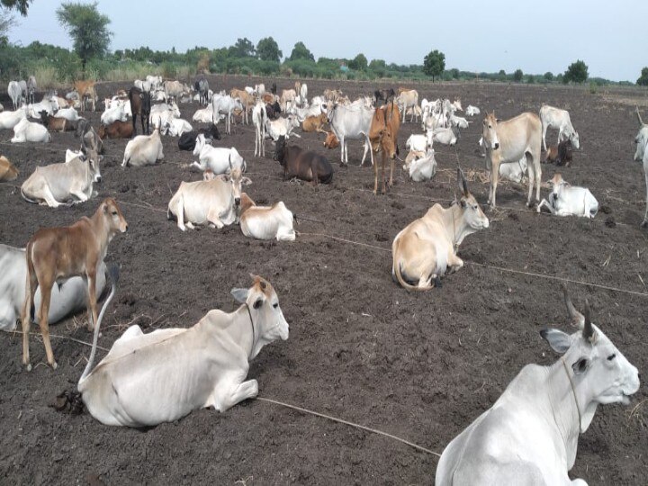 டிஏபி, யூரியா உரம்; தொடக்க வேளாண் கூட்டுறவு கடன் சங்கங்களுக்கு வழங்க வேண்டும் - அரசுக்கு விவசாயிகள் கோரிக்கை