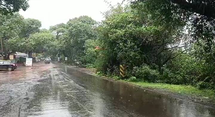 पावसाचा जोर वाढल्याने वातावरणात बदल झाला आहे.