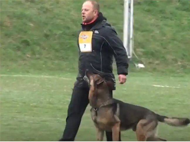 Watch: This German Shepherd is Well Trained, You Will Be Surprised Watch: ਇਹ ਜਰਮਨ ਸ਼ੈਫਰਡ Well Trained ਹੈ, ਵੀਡੀਓ ਵੇਖ ਤੁਸੀਂ ਰਹਿ ਜਾਓਗੇ ਹੈਰਾਨ