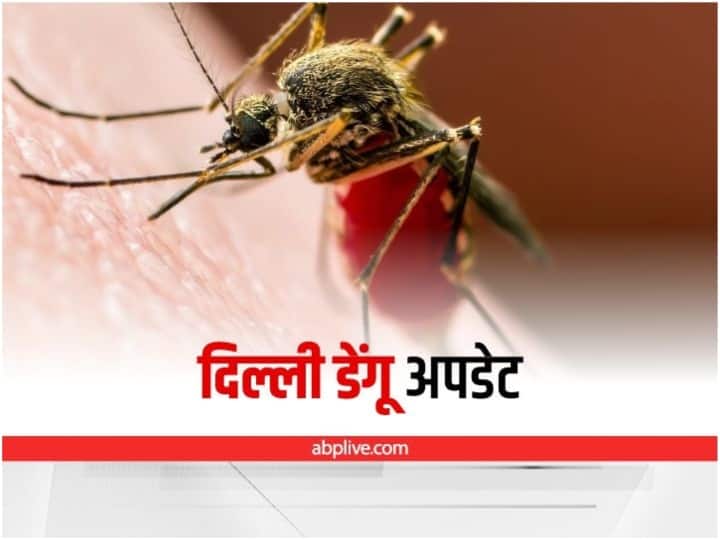 Delhi dengue cases increased 134 cases were reported in Delhi so far Delhi Dengue Cases: कोरोना के बीच डेंगू ने बढ़ाई लोगों की चिंता, दिल्ली में अबतक 134 मामले सामने आए