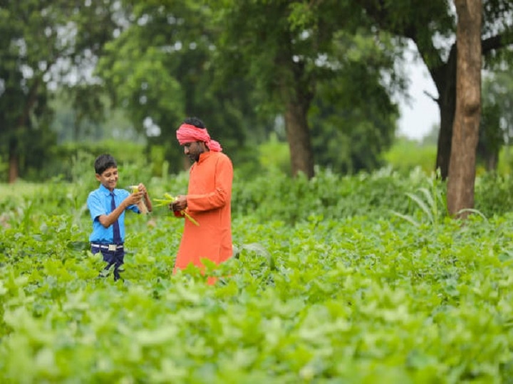 Intensive Farming: छोटी जमीन पर कम पानी में होगी ज्यादा मुनाफे वाली खेती, जानें कैसे छोटे किसानों के लिये फायदेमंद है गहन खेती