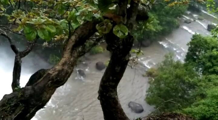 मुंबई-गोवा या महामार्गावर असलेल्या तिवंडामाळ गावातून फक्त पाच किलोमीटर अंतरावर असणारा या कोकणातील फेसाळणारा धबधबा पर्यटकांना पुन्हा आकर्षित करत आहे.