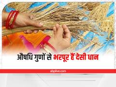 Bastar News: बस्तर की महिला किसान ने संरक्षित किए 300 से ज्यादा किस्मों के देसी धान, इन बीमारियों में हैं फायदेमंद