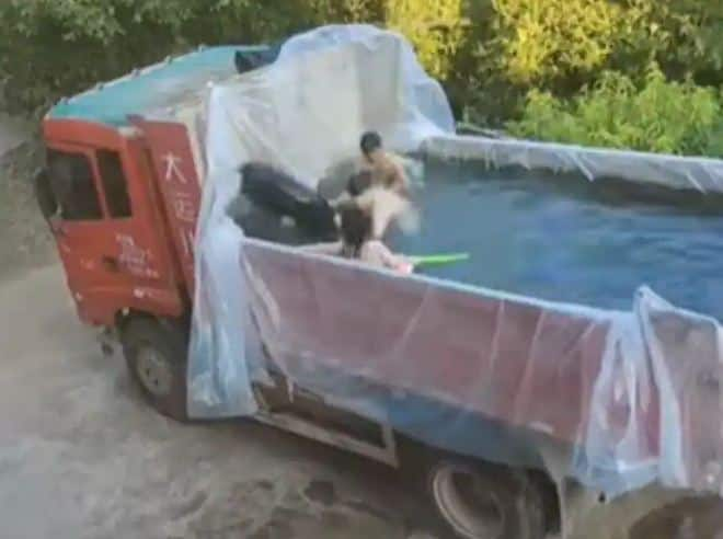 Watch: To escape the scorching heat, the trick was taken, the truck turned into a swimming pool Watch: ਤਪਦੀ ਗਰਮੀ ਤੋਂ ਬਚਣ ਲਈ ਲੱਭੀ ਨਵੀਂ ਸਕੀਮ, ਟਰੱਕ ਨੂੰ ਬਣਾ ਦਿੱਤਾ ਸਵੀਮਿੰਗ