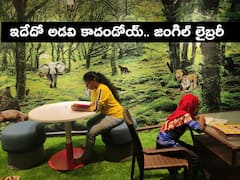 Vizag Public Library: చిన్నారులను ఆకట్టుకుంటున్న జంగిల్ లైబ్రరీ - వైజాగ్‌లో ప్రయోగం సక్సెస్