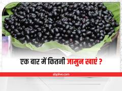 Jamun Benefits: शुगर से लेकर आईबीएस तक, जामुन खाने से कई समस्याओं की होगी छुट्टी