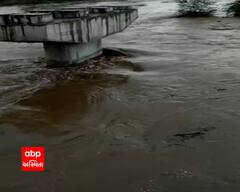 ભાવનગરના મહુવા તાલુકાની બગડ નદીમાં આવ્યું ઘોડાપૂર, જુઓ વિડીયો