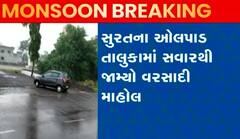 સુરતઃ ઓલપાડ તાલુકામાં વહેલી સવારથી ઝામ્યો વરસાદી માહોલ, જુઓ કેવો છે નજારો