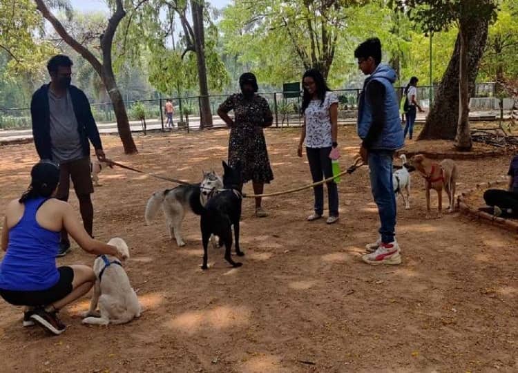 Pet dogs to be banned in Bengaluru’s Cubbon Park, animal lovers irked Cubbon Park: பெங்களூரூவில் உள்ள பிரபல பூங்காவில் நாய் அழைத்துவர தடை: விலங்குகள் ஆர்வலர்கள் எதிர்ப்பு!