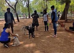 Cubbon Park: பெங்களூரூவில் உள்ள பிரபல பூங்காவில் நாய் அழைத்துவர தடை: விலங்குகள் ஆர்வலர்கள் எதிர்ப்பு!