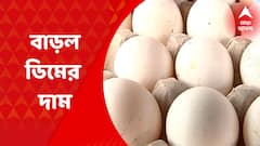 Egg Price Hike: আজ থেকে ডিমের দাম বেড়ে হল ৭ টাকা। Bangla News
