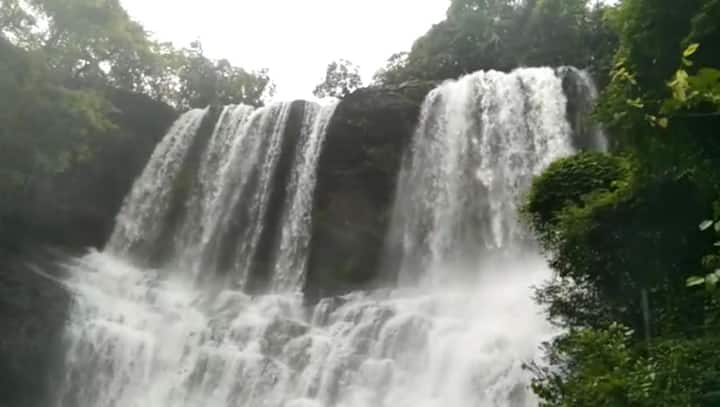 चारही बाजूला हिरवळ त्यात दाट धुके आणि ओसंडून वाहणारे धबधबे जणू स्वर्गची अनुभूती मिळते.