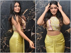 Ketika Sharma: రంగ రంగ వైభవంగా 'రొమాంటిక్' హీరోయిన్ కేతికా శర్మ