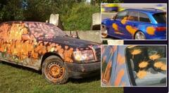 ਜਾਪਾਨ 'ਚ ਲੋਕਾਂ ਦੀਆਂ ਕਾਰਾਂ 'ਤੇ ਇਹ ਪੇਂਟ ਕਿਉਂ ਸੁੱਟਦੀ ਪੁਲਿਸ? ਤੁਸੀਂ ਵੀ ਇਸ ਆਈਡੀਏ ਦੀ ਕਰੋਗੇ ਸ਼ਲਾਘਾ