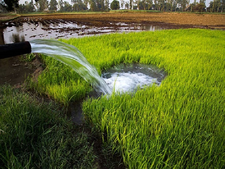 Monsoon 2022: कमजोर मानसून से परेशान हुए धान के किसान, बिना बारिश कैसे करेंगे फसलों की बुवाई-रोपाई