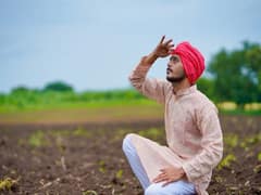 Monsoon 2022: कमजोर मानसून से परेशान हुए धान के किसान, बिना बारिश कैसे करेंगे फसलों की बुवाई-रोपाई