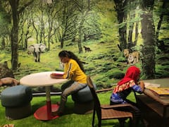 Visakha Public Library: అడవి కాదు లైబ్రరీ, ఆకట్టుకుంటున్న వైజాగ్ లైబ్రరీ ఫొటోస్ చూశారా