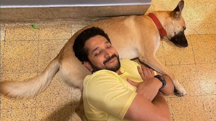 Parambrata Chatterjee: Parambrata Chatterjee shares a funny picture with his pet at her birthday Parambrata Chatterjee: আলসেমির ঘুমের ছবি, জন্মদিন কেমন কাটল পরমব্রতর?