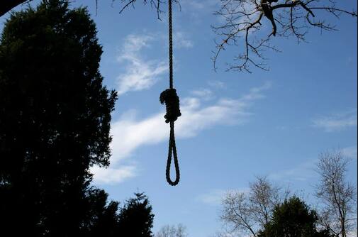 વડોદરાઃ ઝાડ પરથી લટકતો મળ્યો મૃતદેહ, હત્યા કે આત્મહત્યા?; પોલીસ તપાસ શરૂ