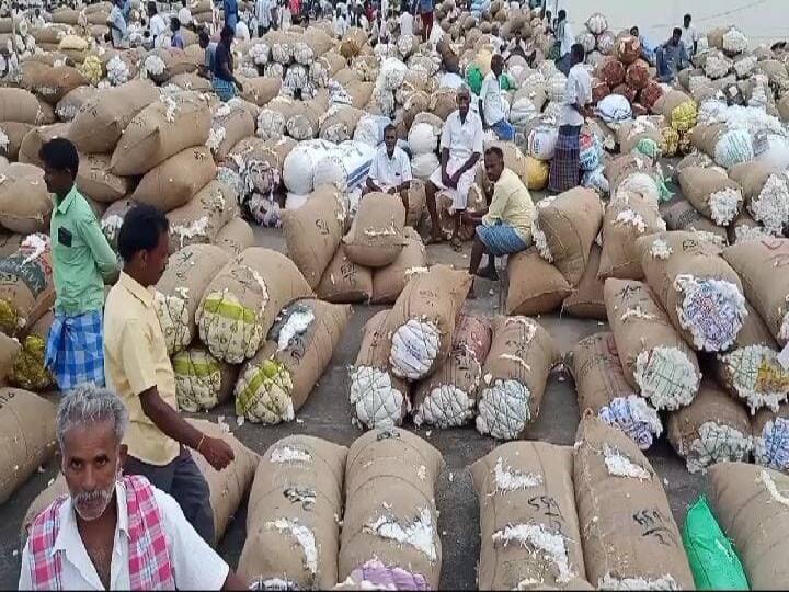 Harur Cotton supply Increases 6000 bales of cotton auctioned for Rs 2.30 crore this week அரூர் கூட்டுறவு வேளாண்மை விற்பனை கடன் சங்கத்தில் 6000 மூட்டை பருத்தி ரூ.2.30 கோடிக்கு ஏலம்