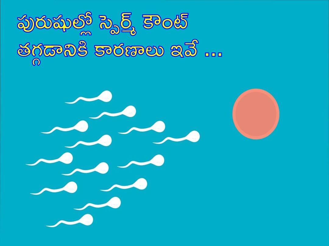 Is sperm count enough for men to have a healthy baby? What are the experts saying? Male Fertility: అబ్బాయిలూ, మీరేం పోటుగాళ్లు కాదు- ఇలా చేయకుంటే జీవితంలో తండ్రి కాలేరు!