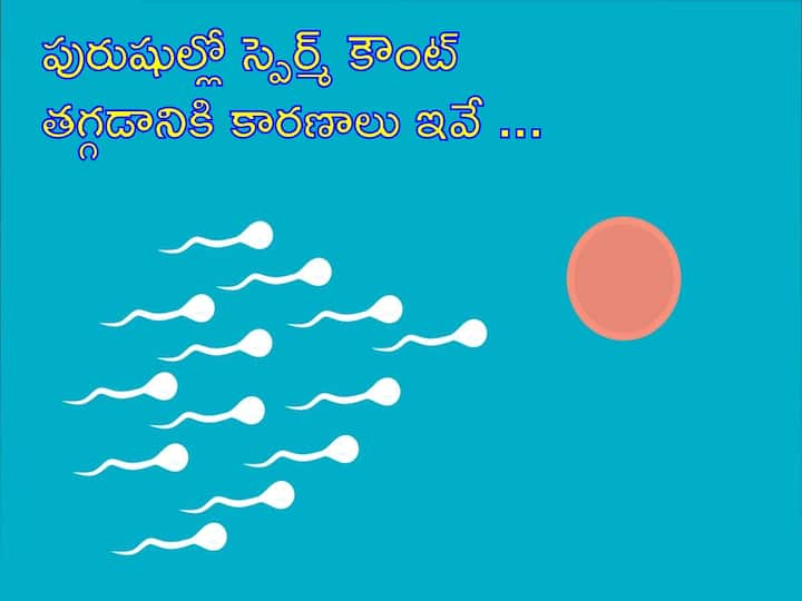 Is sperm count enough for men to have a healthy baby? What are the experts saying? Male Fertility: అబ్బాయిలూ,  మీరేం పోటుగాళ్లు కాదు- ఇలా చేయకుంటే జీవితంలో తండ్రి కాలేరు!