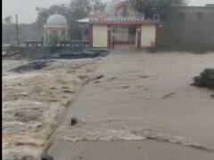 Gujarat Rain: મહુવા પંથકમાં ધોધમાર વરસાદ, બે ચેકડેમ તૂડ્યા, અનેક ગામોને કરાયા એલર્ટ