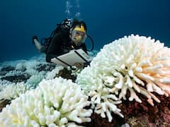 India Plans To Set Up Network Of Marine Biology Research Stations In Pacific Island Countries