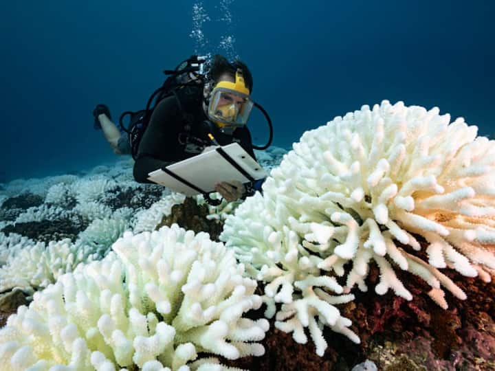India Plans To Set Up Network Of Marine Biology Research Stations In Pacific Island Countries