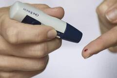 Elderberry Benefits: સ્થૂળતા, ડાયાબિટીસ જેવી આ 6 સમસ્યાઓથી છુટકારો અપાવશે એલ્ડરબેરી